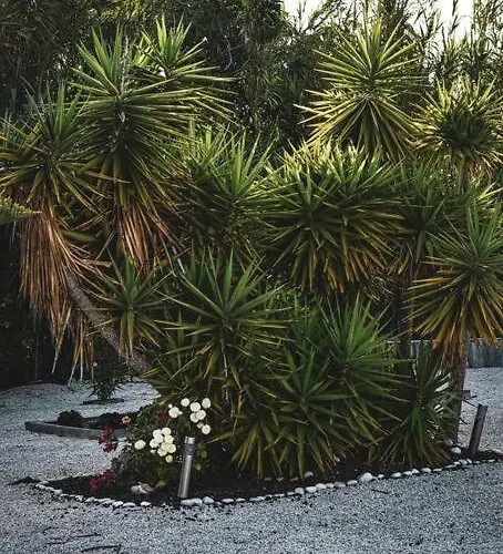 Kemping La Casa De Lylou Location De *